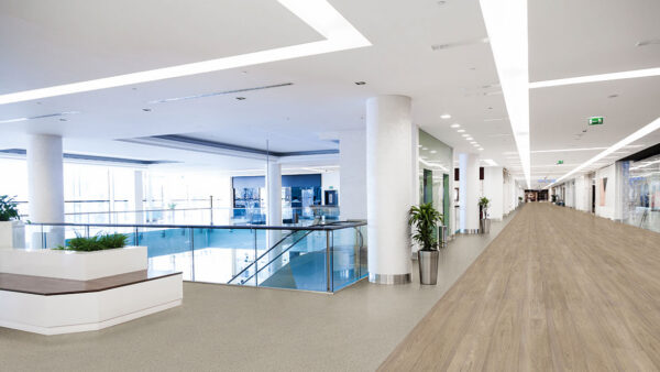 Eternal Original heterogeneous vinyl - Image 2