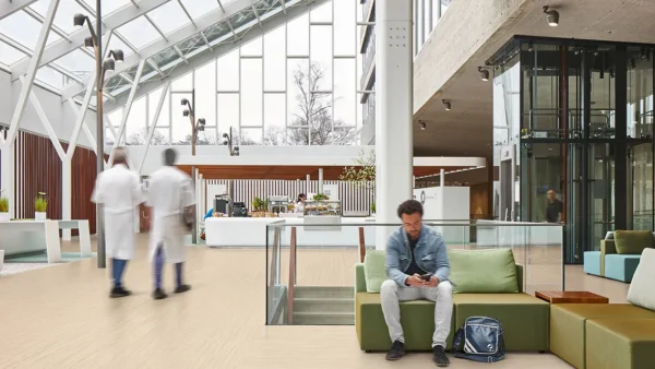 Marmoleum Linear linoleum flooring - Image 2