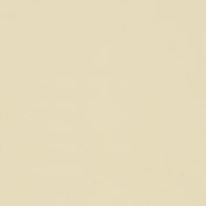 Sarlon 19dB Graphic & Colour