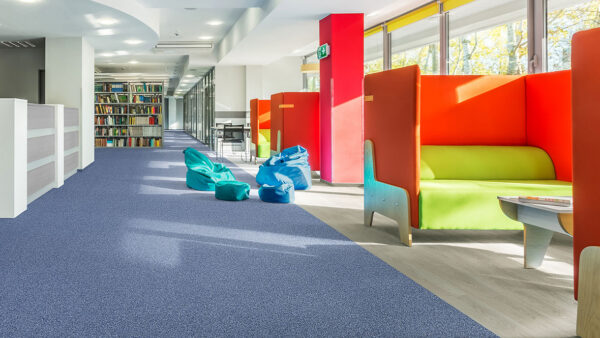 Tessera Basis Pro - Image 3